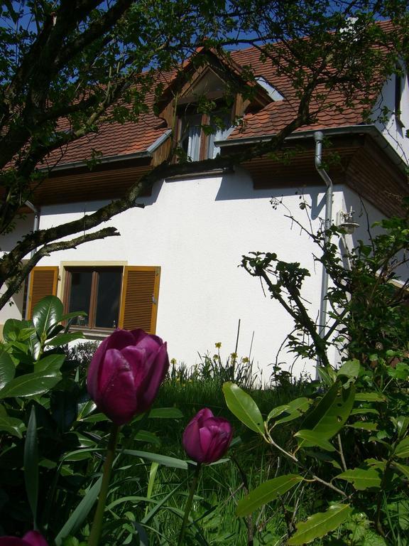 Ferienwohnung Lucia Huber Uhldingen-Mühlhofen Oda fotoğraf